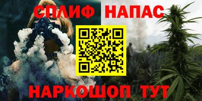 стафф Ставрополь