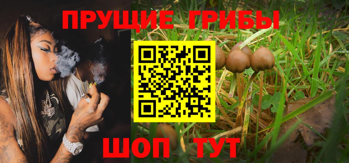 Галлюциногенные грибы Psilocybe  сколько стоит  Новоуральск  Галлюциногенные грибы Psilocybine cubensis  Вход с VPN 